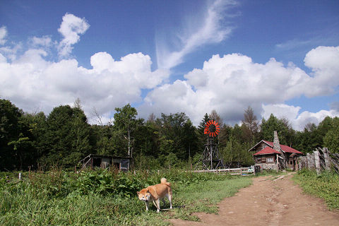 11resize3691.jpg