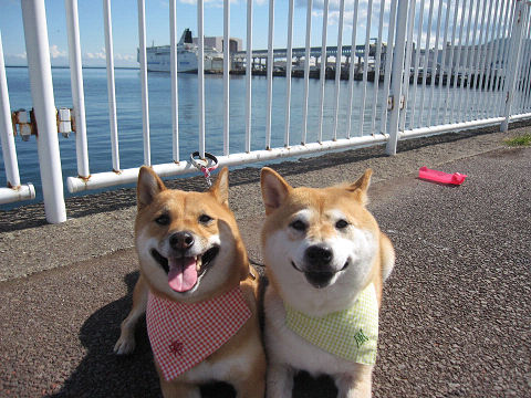 11resize3948.jpg