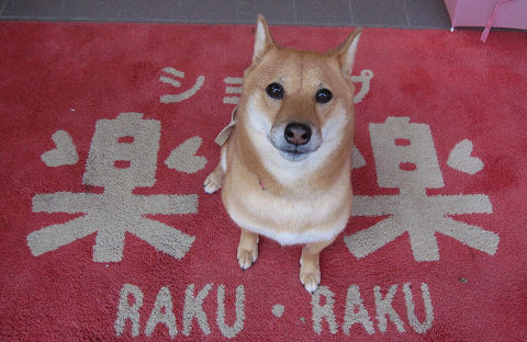 11resize4200.jpg