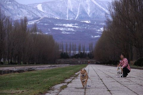 11resize4297.jpg