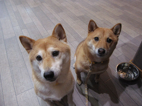 11resize4328.jpg
