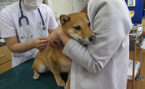 11resize4757.jpg