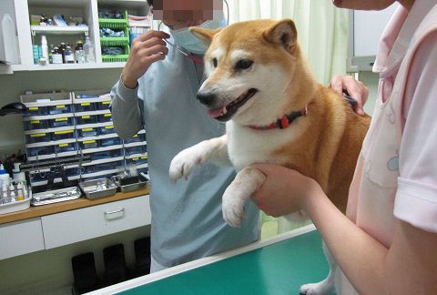 11resize5284.jpg