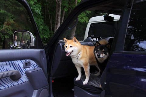 11resize5379.jpg