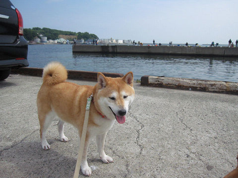 11resize5596.jpg