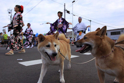 11resize5629.jpg