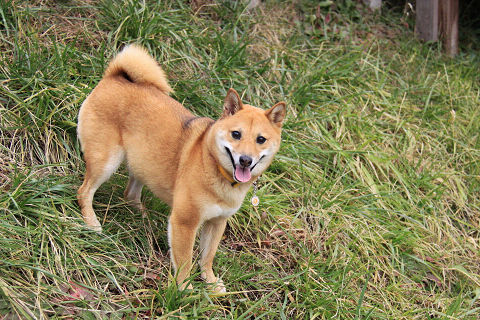 11resize6459.jpg