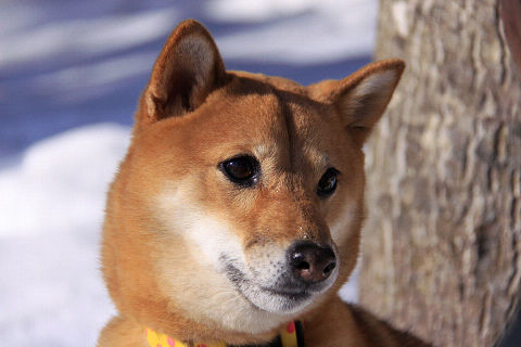 11resize6624.jpg