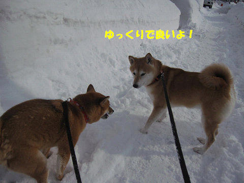 11resize6714.jpg