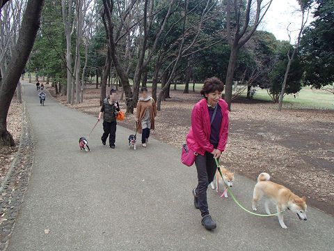 11resize6838.jpg