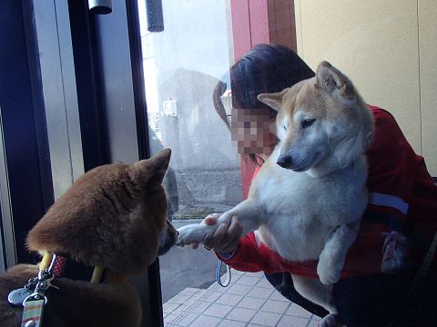 11resize7003.jpg