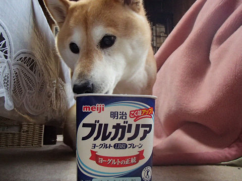 11resize7070.jpg