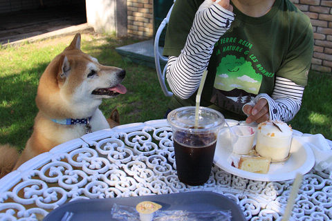 11resize7383.jpg