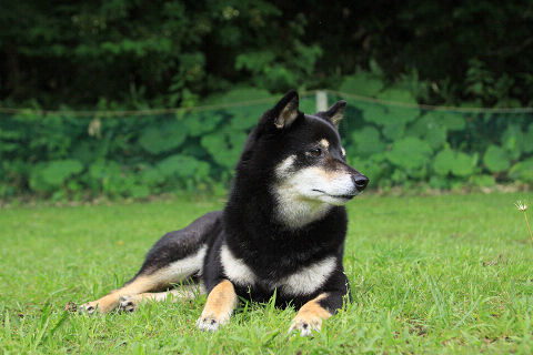 11resize7625.jpg