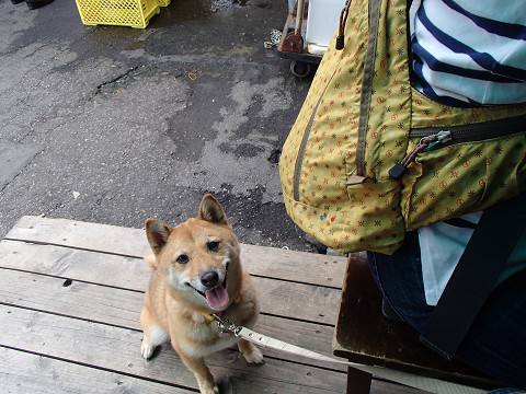 12resize0252.jpg