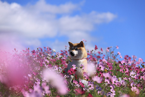 12resize0396.jpg