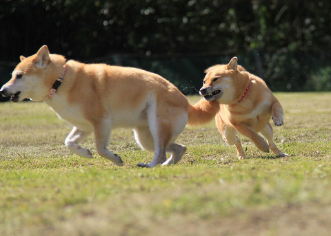 12resize0445.jpg