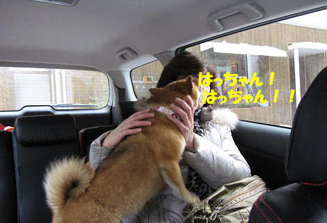 12resize0816.jpg