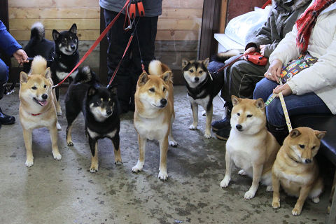 12resize0996.jpg