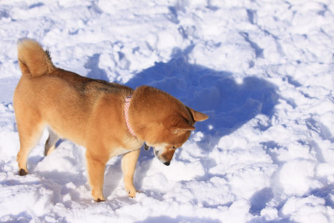 12resize1035.jpg