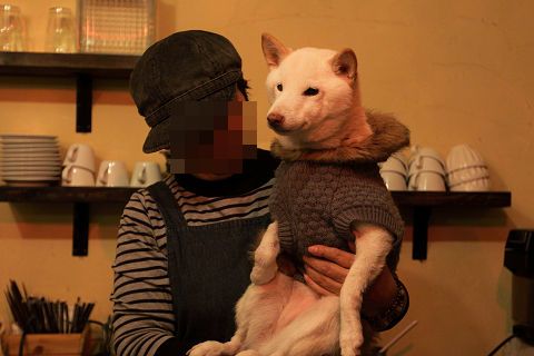 12resize1098.jpg
