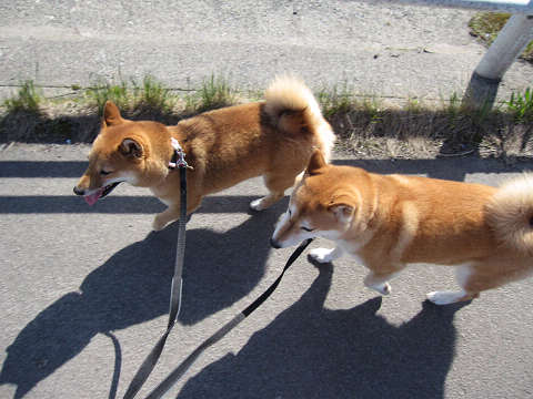 12resize1440.jpg
