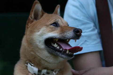 12resize1743.jpg
