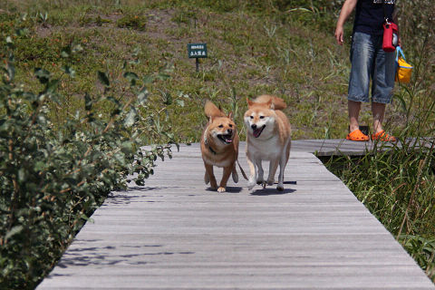 12resize2002.jpg