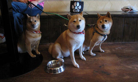 12resize2159.jpg