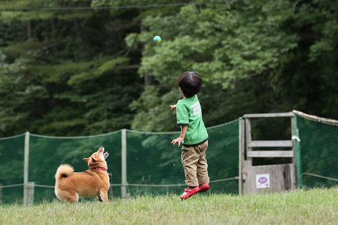 12resize2181.jpg