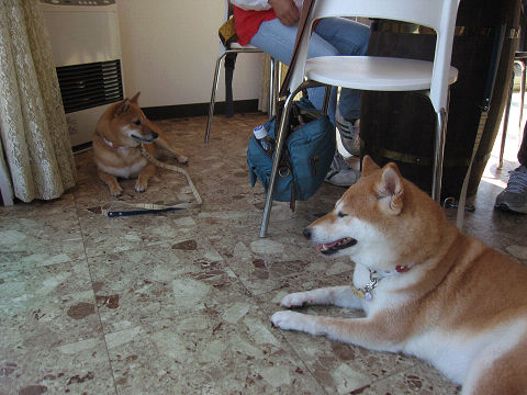 12resize2258.jpg