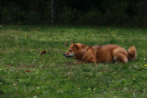 12resize2293.jpg