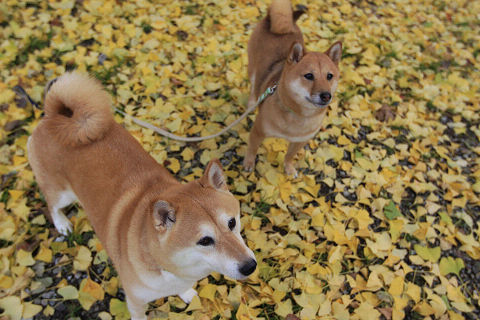12resize2452.jpg