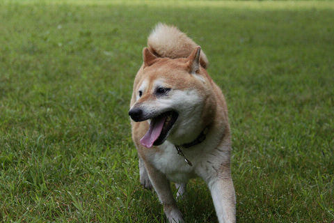 12resize3450.jpg