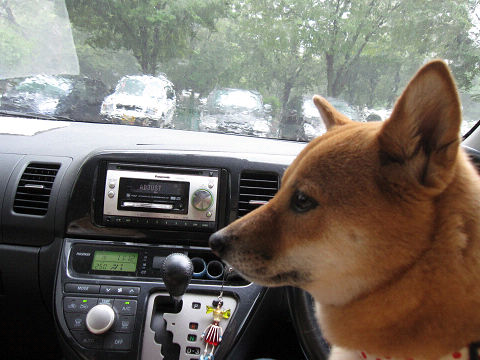 12resize3543.jpg