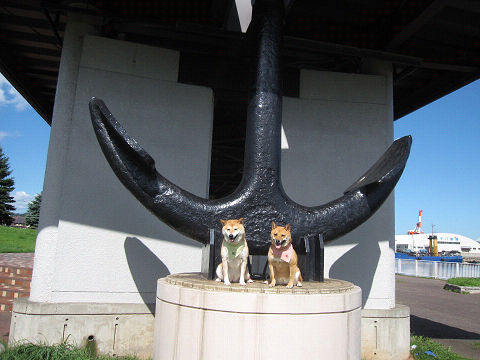 12resize3951.jpg