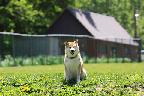 12resize5246.jpg