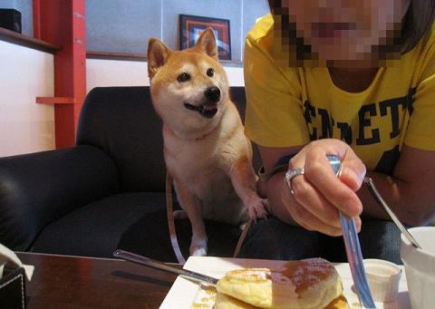 12resize5441.jpg
