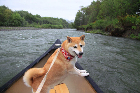 12resize5824.jpg