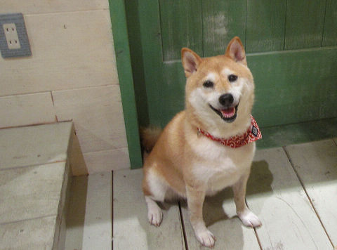 12resize6340.jpg