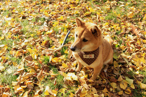 12resize6349.jpg
