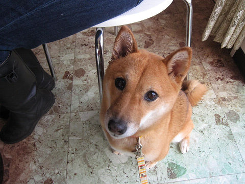 12resize6448.jpg