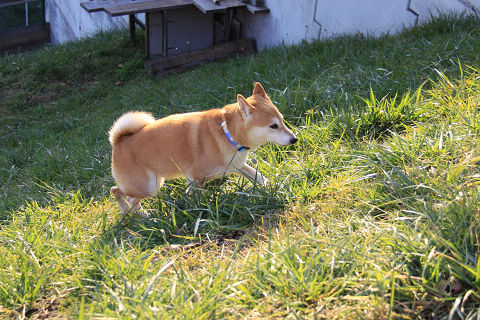 12resize6477.jpg