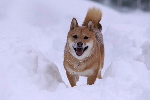 12resize6645.jpg