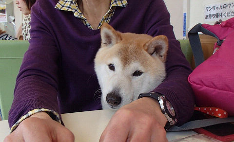 12resize6817.jpg