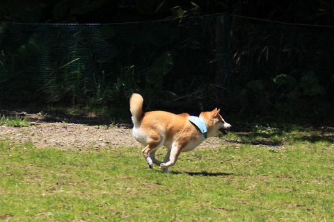 12resize7451.jpg