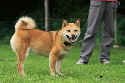 12resize7626.jpg