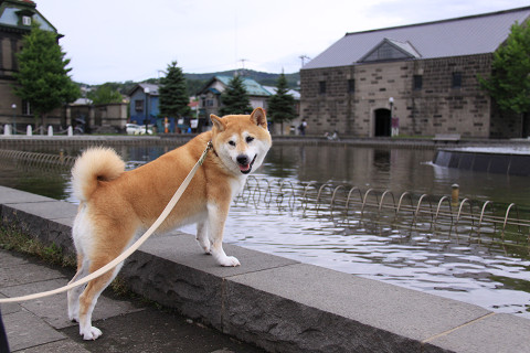 13resize0171.jpg