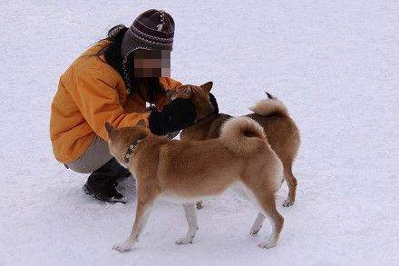 13resize0324.jpg
