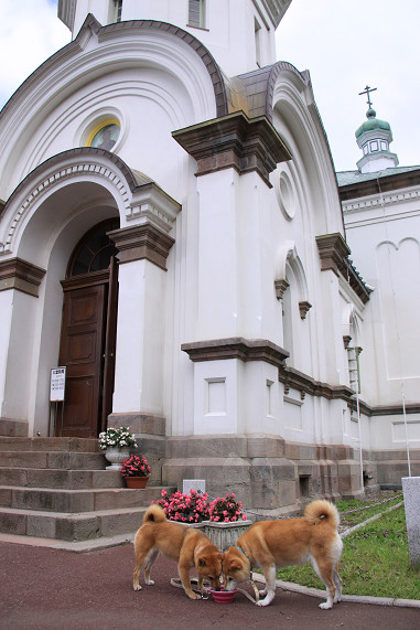13resize0330.jpg